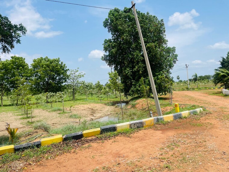 Garden, raigiri  150 Sq.Yd. Plot In Raigiri Hyderabad 9185042