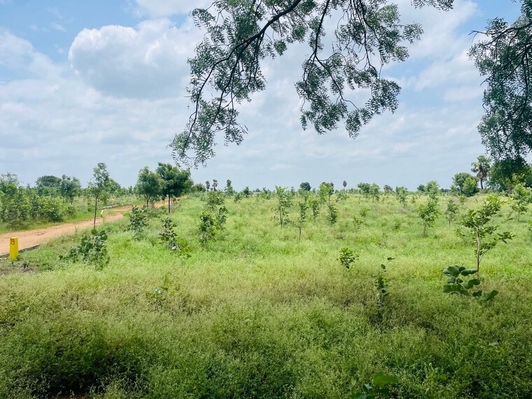 undefined, raigiri  150 Sq.Yd. Plot In Raigiri Hyderabad 9185042