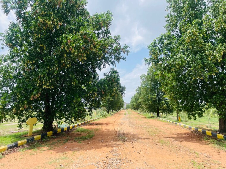 Garden, raigiri  150 Sq.Yd. Plot In Raigiri Hyderabad 9185042