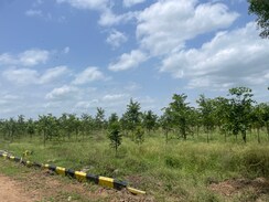Plot For Sale in Raigiri