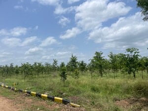  Plot For Sale in Raigiri