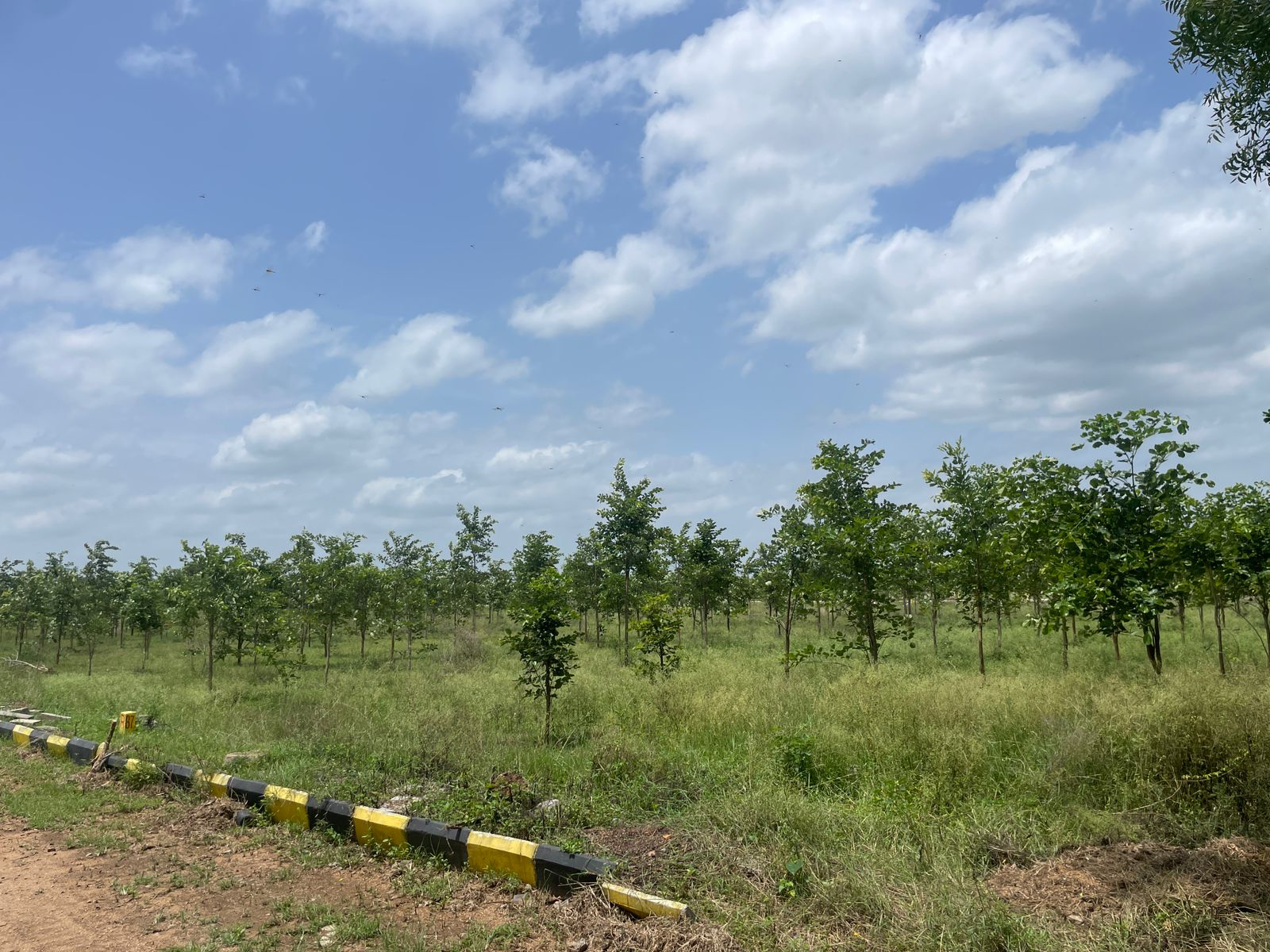 Plot For Sale in Mahagiri Farms And Resort