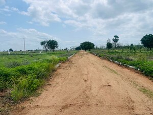 Plot Area in  Plot at Raigiri – for Sale