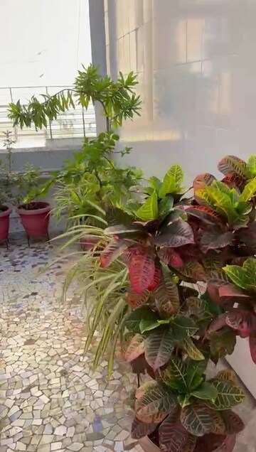 2 BHK Apartment – Garden View at Santacruz East - for Rent