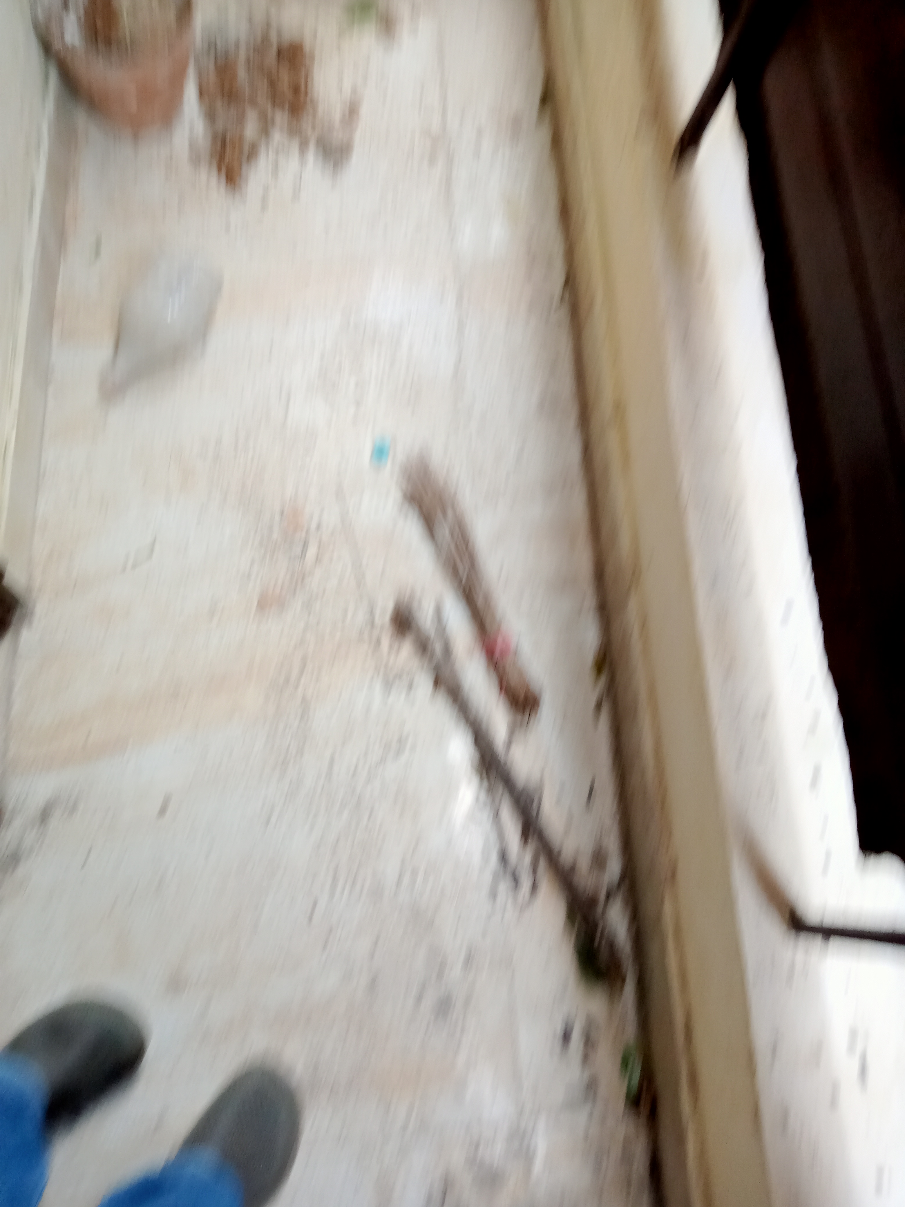 1 BHK Builder Floor For Rent in Maidan Garhi