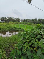 6500 Sq.Ft. Plot in Westpalmmerces