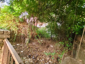 Plot Area in  Plot at Jankipuram Extension – for Sale