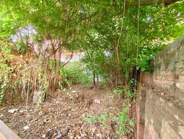 Plot Area in  Plot at Jankipuram Extension – for Sale