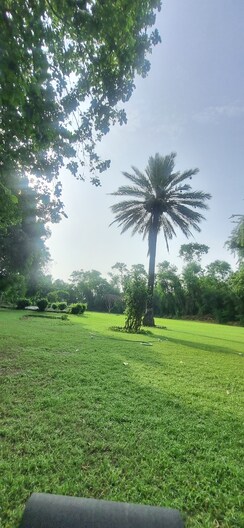 Plot For Sale in New Palam Vihar 3