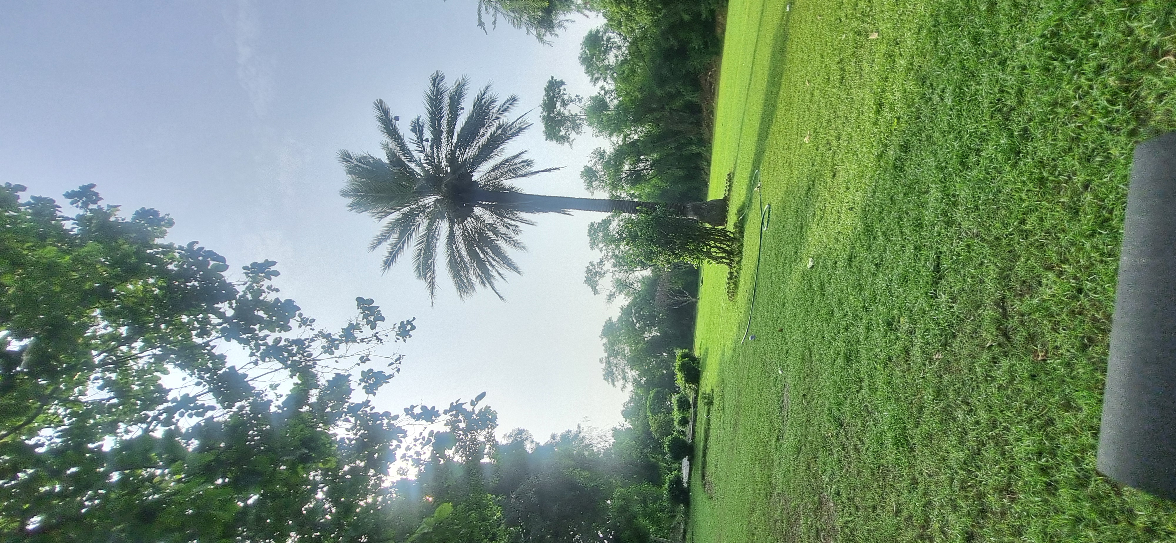 Plot For Sale in New Palam Vihar 3