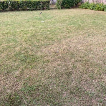  Plot – Garden View at Sector 77 - for Sale