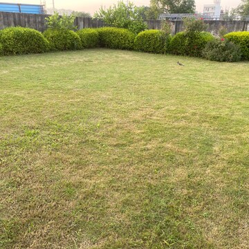  Plot – Garden View at Sector 77 - for Sale
