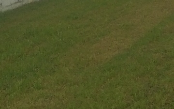 Plot For Sale in Pakhowal Road