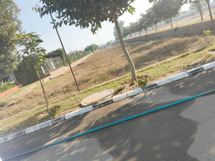 Garden, meffier-golden-park  145 Sq.Yd. Plot In Sohna Sector 4 Gurgaon 9186102