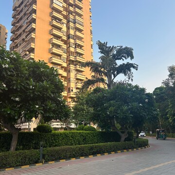 2 BHK Apartment For Rent in The Retreat Gurgaon, Sector 29
