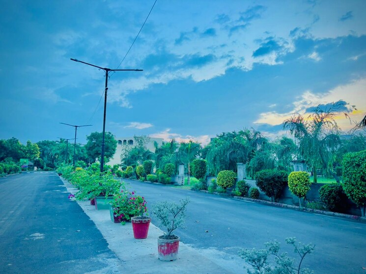 Listing Cover Image