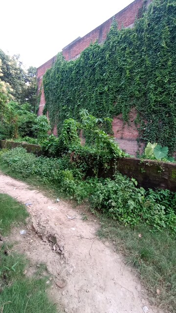 Plot Area in  Plot at Maldepur – for Sale