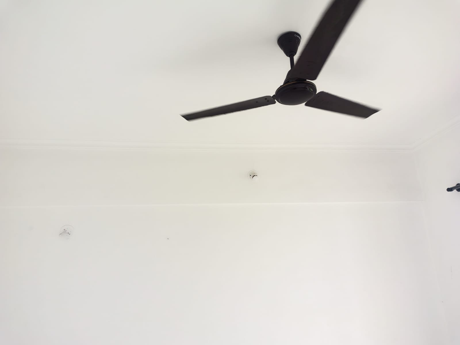 1 BHK Apartment For Sale in Kedar CHS