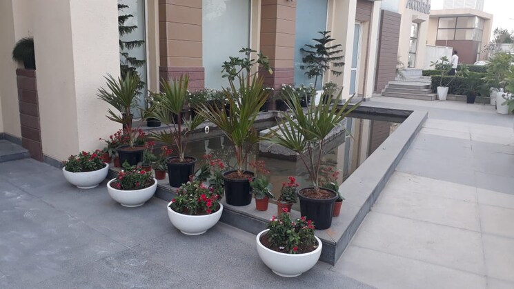 Team Area, eldeco-acclaim 2 Bedroom 1457 Sq.Ft. Apartment In Sohna Sector 2 Gurgaon 9186655