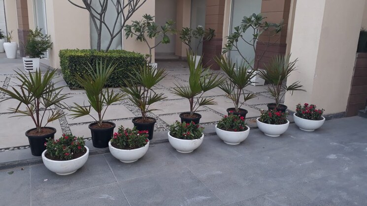 Team Area, eldeco-acclaim 2 Bedroom 1457 Sq.Ft. Apartment In Sohna Sector 2 Gurgaon 9186655