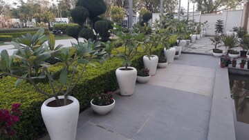 Parking in 2 BHK Apartment at Eldeco Acclaim, Sohna Sector 2 – for Sale