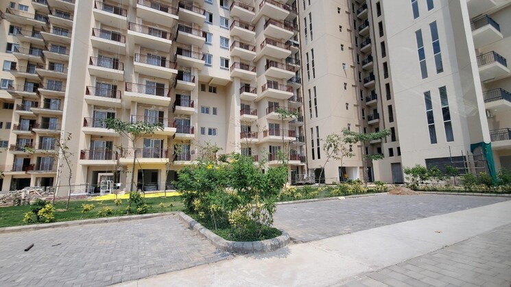 Exterior View, godrej-serenity-gurgaon 3 Bedroom 1169 Sq.Ft. Apartment In Sohna Sector 33 Gurgaon 9186735
