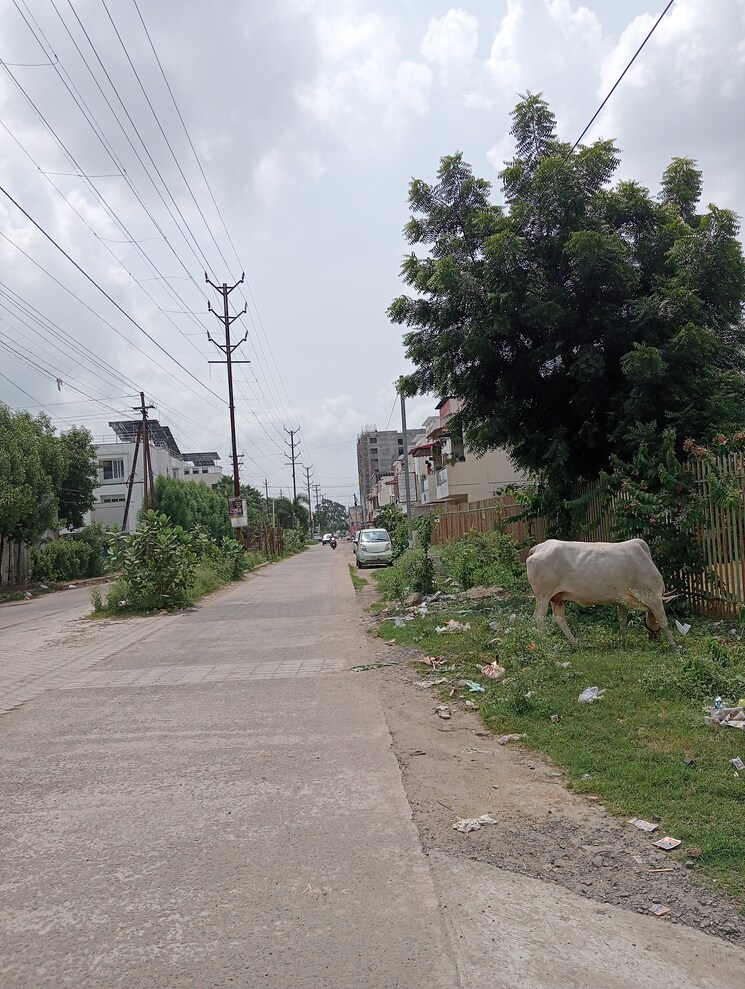 undefined, amrit-pebble-bay-ph-ii 2 Bedroom 1000 Sq.Ft. Apartment In Baghmugalia Bhopal 9186770