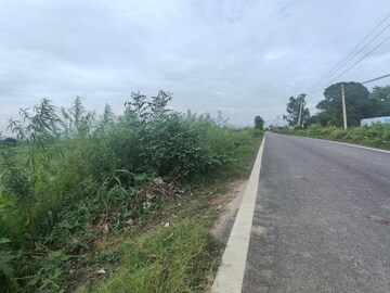 Plot Area in  Plot at Ramnagar – for Sale