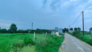 Plot Area in  Plot at Ramnagar – for Sale