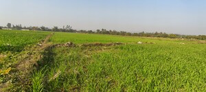 Plot Area in  Plot at Ramnagar – for Sale