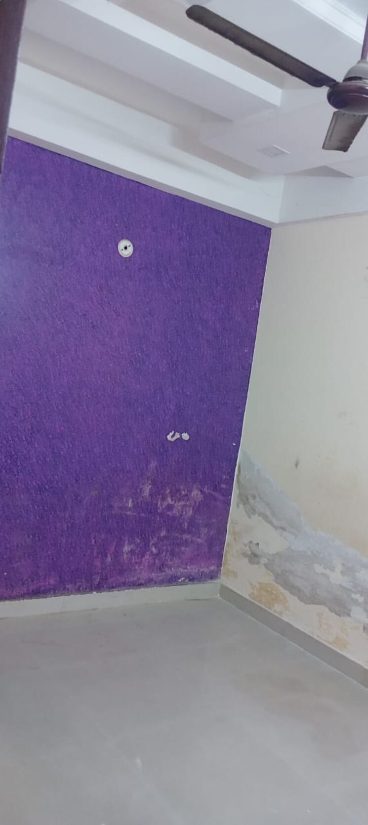 undefined, sap-homes 2 Bedroom 950 Sq.Ft. Apartment In Sector 49 Noida 9186994