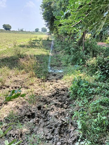 Plot Area in  Plot at Gwalior Road – for Sale