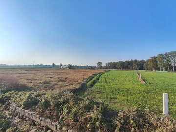  Plot For Sale in Ramnagar