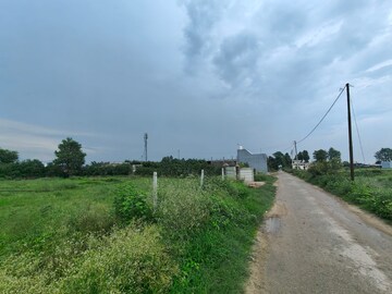 Plot Area in  Plot at Ramnagar – for Sale