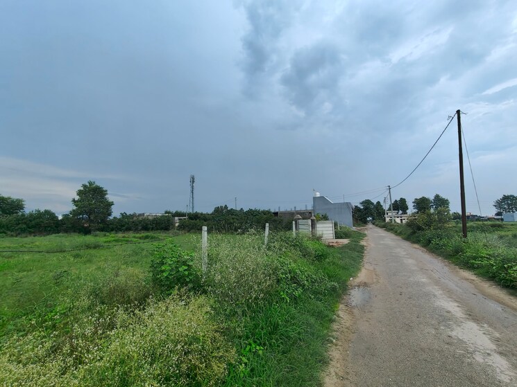 undefined, ramnagar  1000 Sq.Ft. Plot In Ramnagar Nainital 9187312