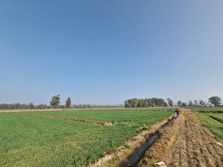 undefined, ramnagar  1000 Sq.Ft. Plot In Ramnagar Nainital 9187312