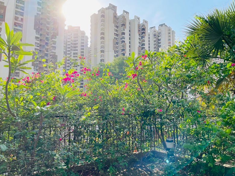 2 BHK + Extra Room Apartment For Sale in Fusion Homes