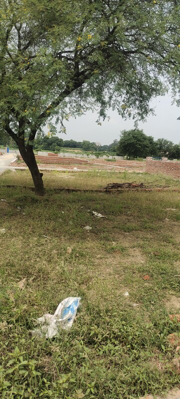 Plot Area in  Plot at Harhua – for Sale