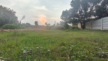  Plot For Sale in Ramnagar
