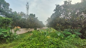 Plot Area in  Plot at Ramnagar – for Sale