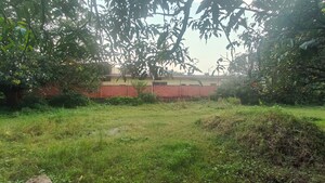 Plot Area in  Plot at Ramnagar – for Sale