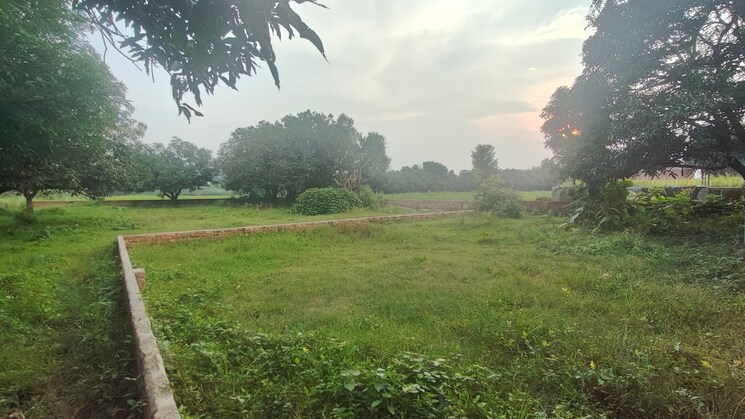 undefined, ramnagar  100 Sq.Yd. Plot In Ramnagar Nainital 9187396