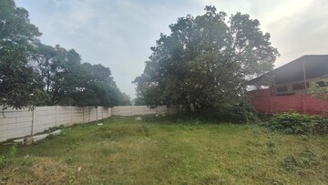 Plot Area in  Plot at Ramnagar – for Sale