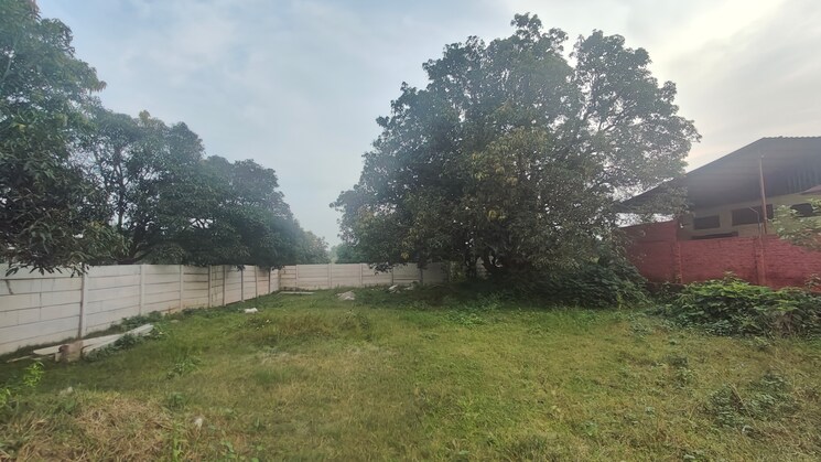 undefined, ramnagar  100 Sq.Yd. Plot In Ramnagar Nainital 9187396