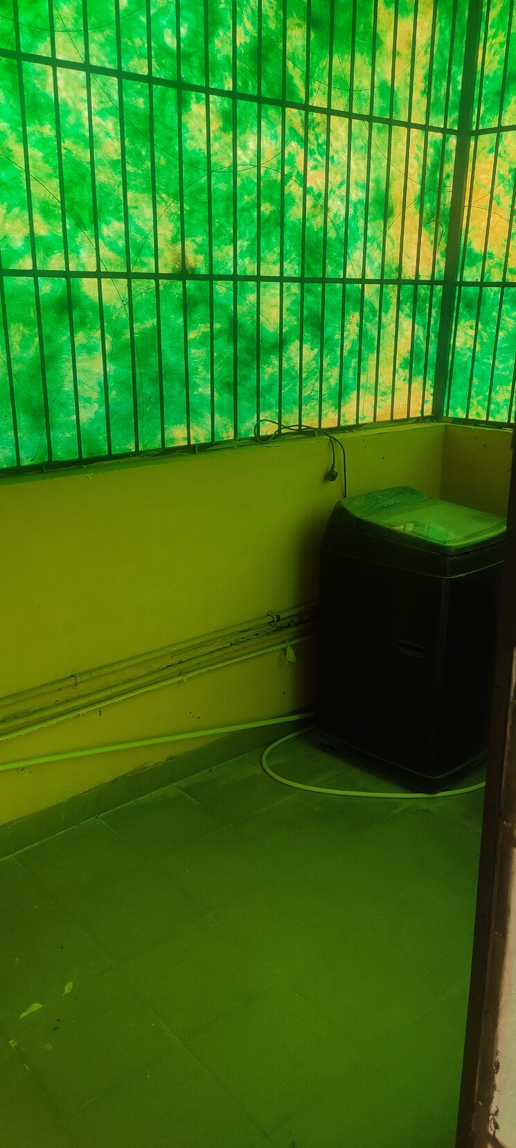 undefined, greenwood-enclave 2.5 Bedroom 194 Sq.Yd. Builder Floor In Wave City Ghaziabad 9187463