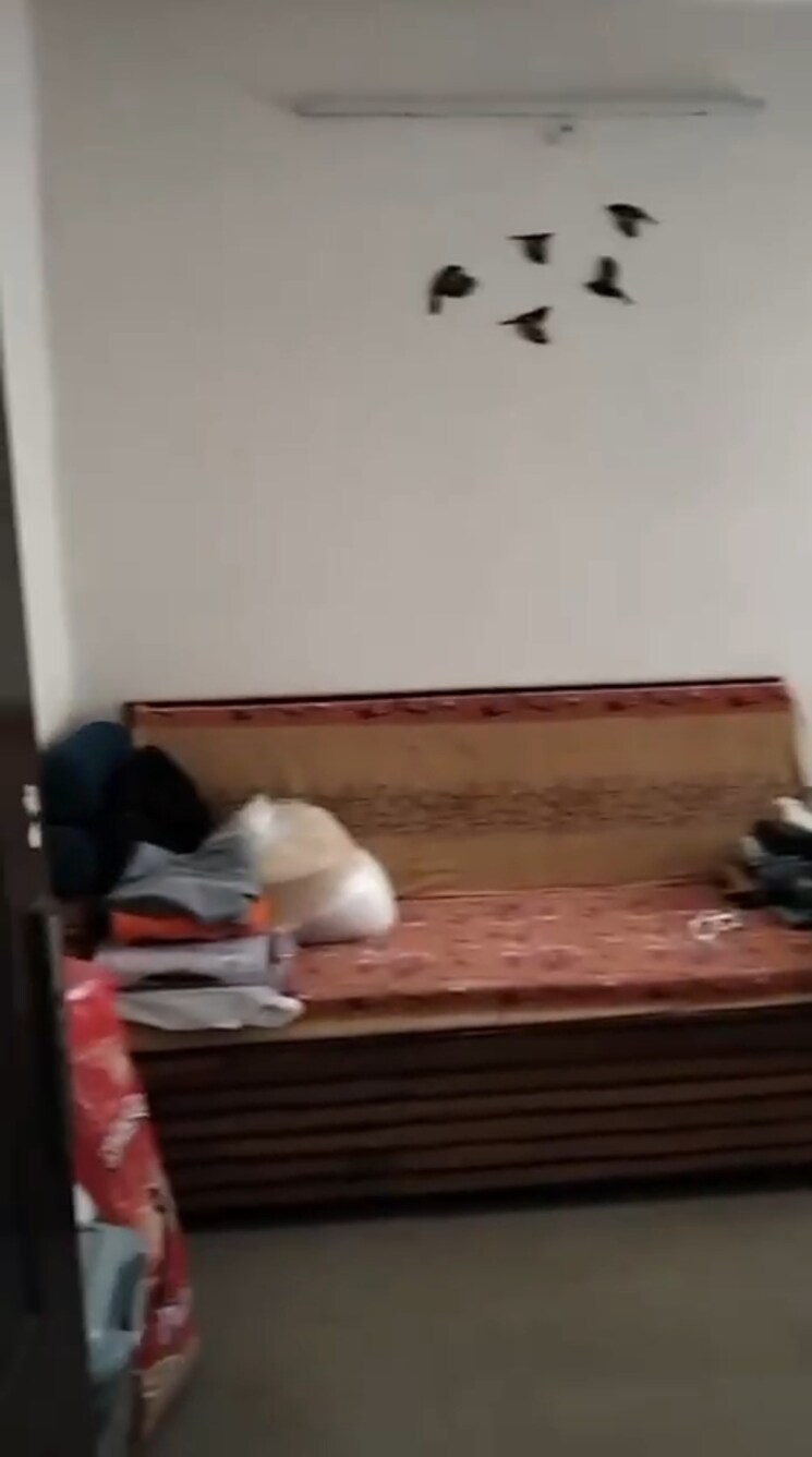 undefined, high-end-paradise-ii 3 Bedroom 1175 Sq.Ft. Apartment In Raj Nagar Extension Ghaziabad 9188078