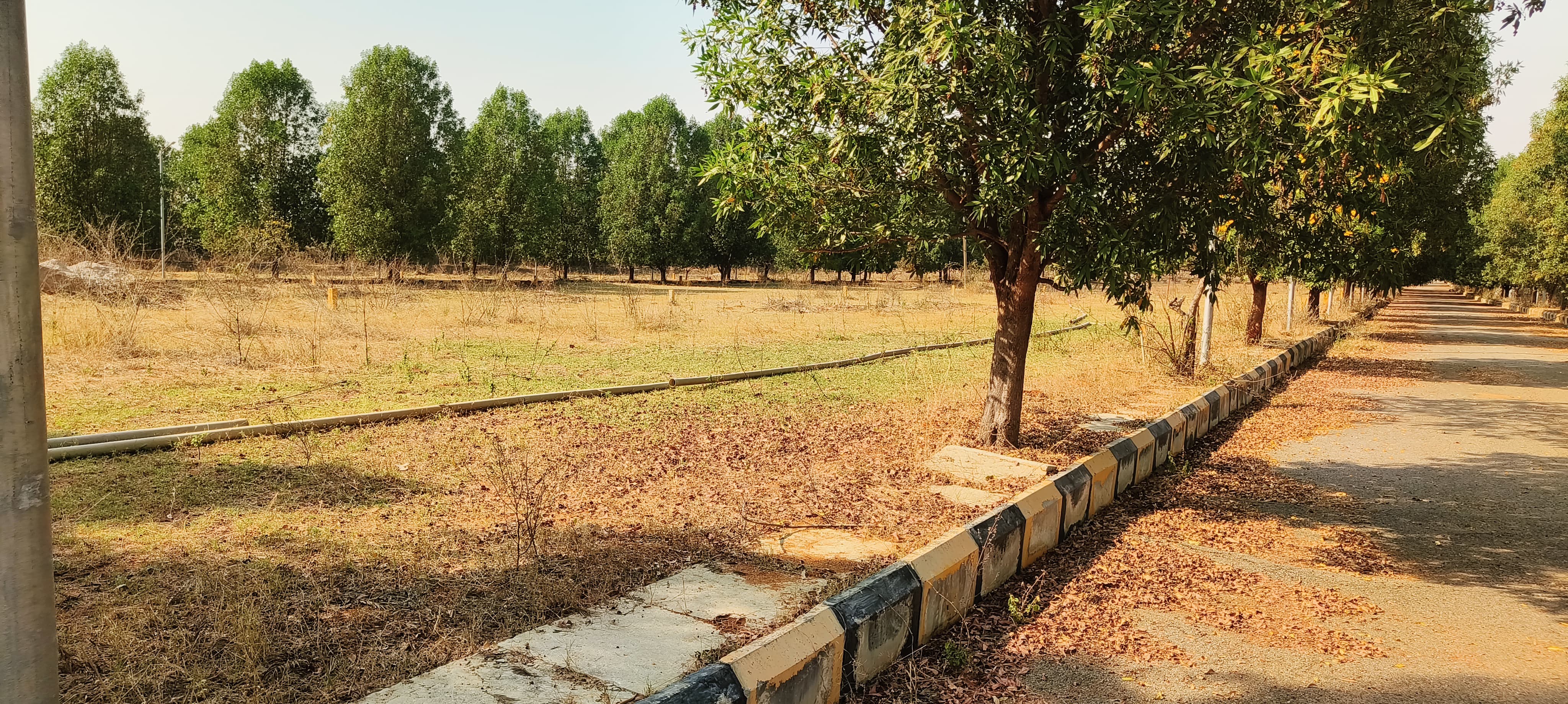 Plot For Sale in Tukkuguda