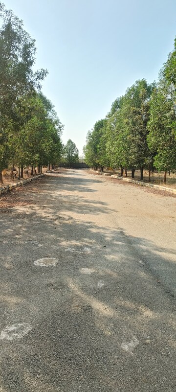 Plot Area in  Plot at Tukkuguda – for Sale