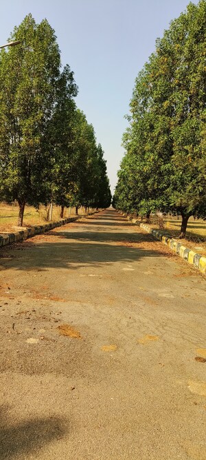 Plot Area in  Plot at Tukkuguda – for Sale