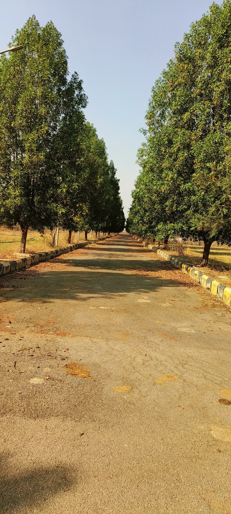 undefined, tukkuguda  200 Sq.Yd. Plot In Tukkuguda Hyderabad 9188183